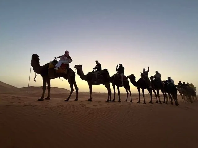Silhouette of a long camel caravan moving across the dunes at dusk
