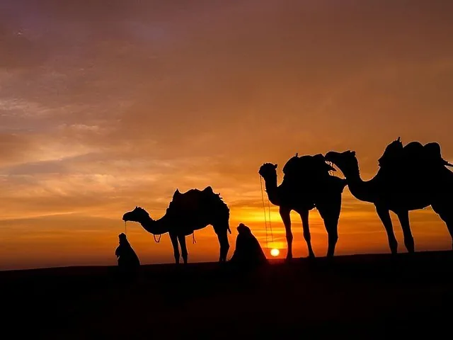 Silhouettes of three camels and a person at sunset in Erg Chebbi